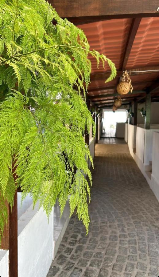 Pousada Villa Mar Porto Porto de Galinhas Bagian luar foto
